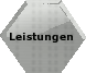 Leistungen